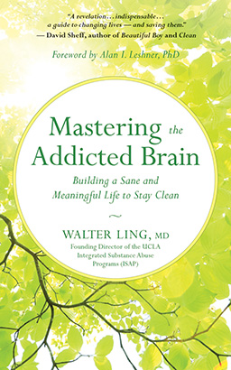 Mastering the Addicted Brain