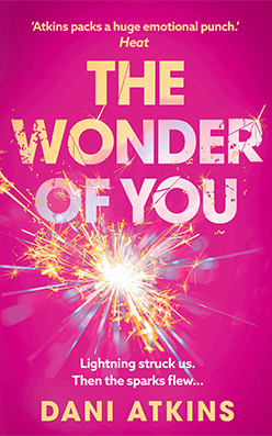 Wonder of You, The
