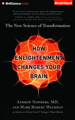 How Enlightenment Changes Your Brain