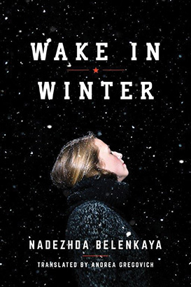 Wake in Winter