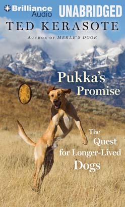 Pukka's Promise