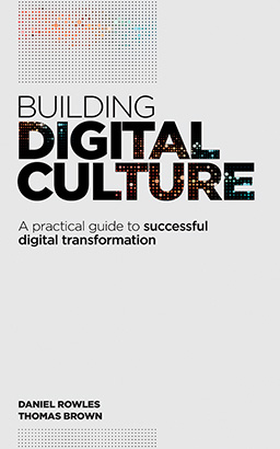 Building Digital Culture