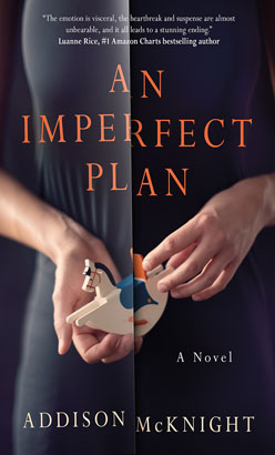 Imperfect Plan, An