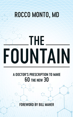 Fountain, The