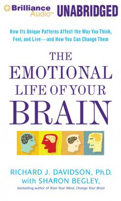 Emotional Life of Your Brain, The
