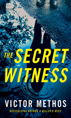 Secret Witness, The