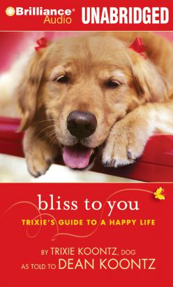 Bliss to You