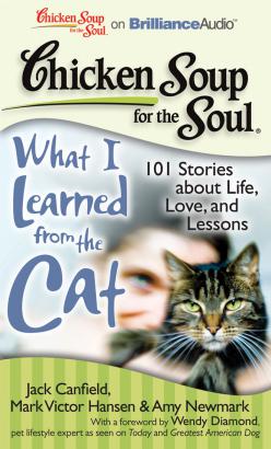 Chicken Soup for the Soul: What I Learned from the Cat